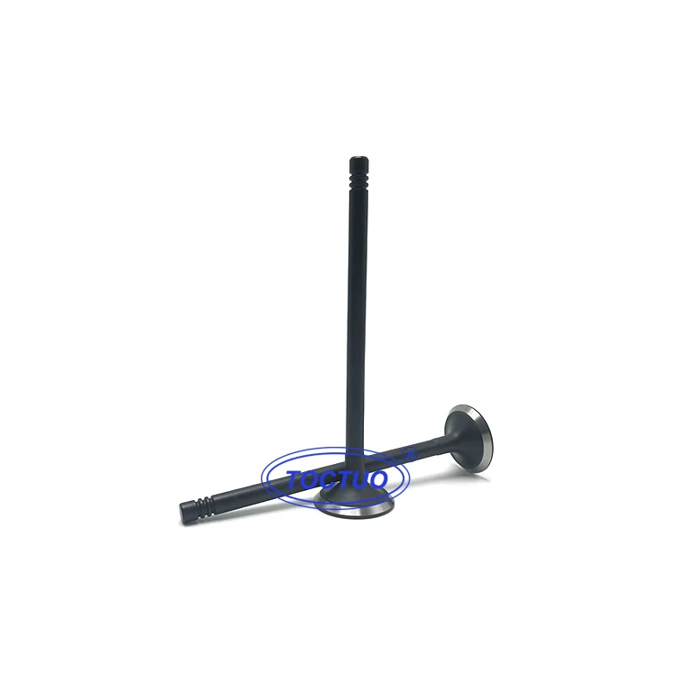 High Quality Engine Valve OE 22211-2F000 for Hyundai D4HB