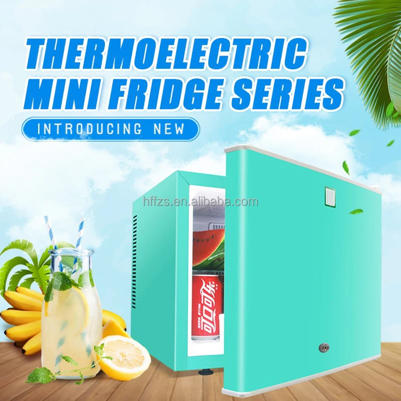 20l Mini Car Fridge Dorm Room Refrigerators Dc12v Ac220v Portable