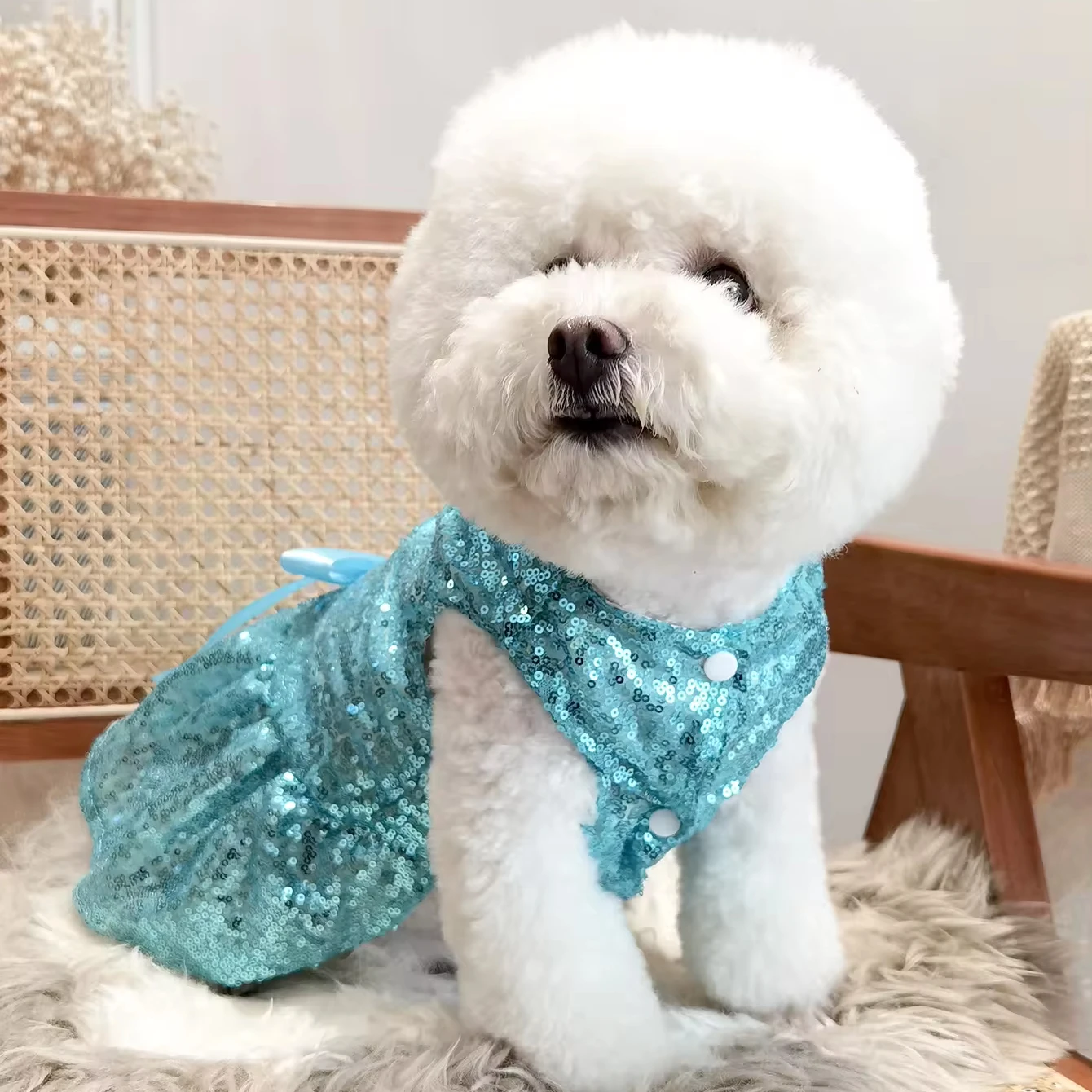 dog sequin dress Sparkly Sequin Dog Tutu Dress