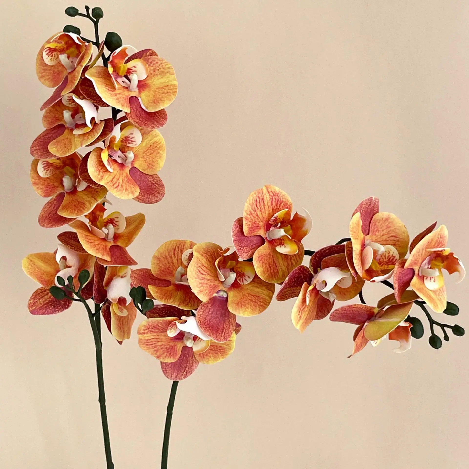 Artificial Orchid Flowers Stem Fake Phalaenopsis Orchid For Kitchen