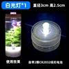 Button white light