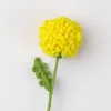 กิ่งเบญจมาศกิ่ง-สีเหลือง