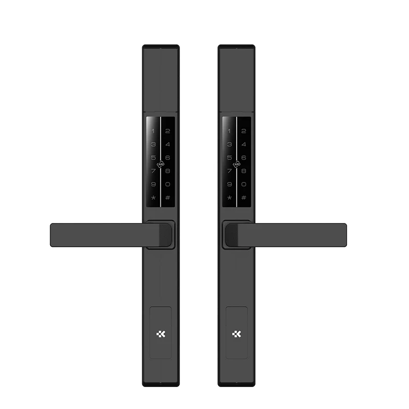 European Style Courtyard Multifunction Double Side Smart Door Lock Safety Outdoor Waterproof Smart Locks Access Control