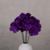 violet foncé