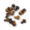 tiger eye