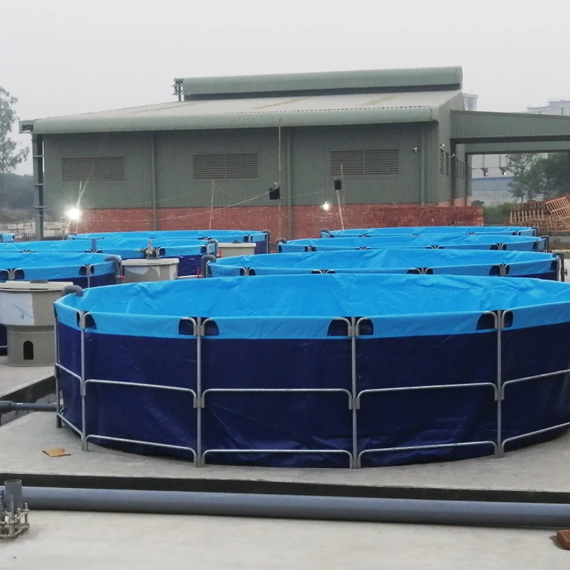 RAS Commercial Aquaculture Systems - Efficient Fish Farming