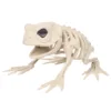 White-Frog