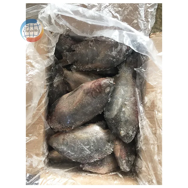 High Quality Bulk Packing Frozen Tilapia Fillet Fish Fillet - Buy High ...