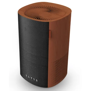 LEEYO Top Rated Portable Mini Electric Air Purifier Japanese for True HEPA Filter for Dust Top Rated Air Cleaner