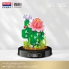 18500-cactus-615 pièces