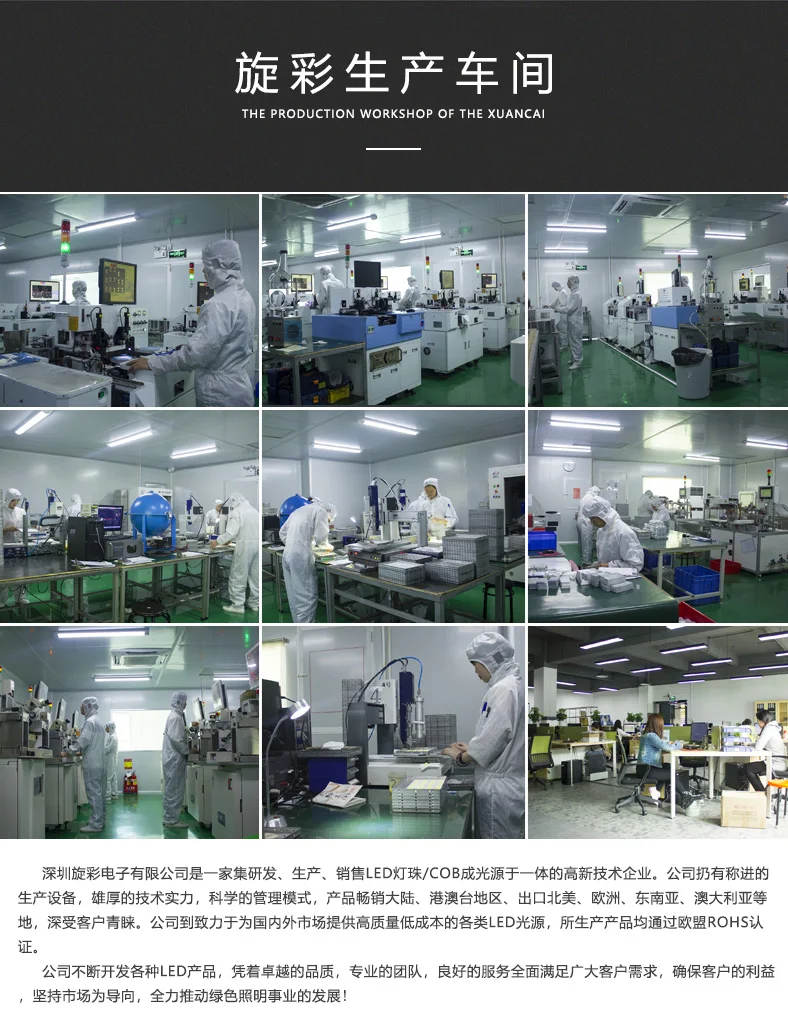 Width 8mm 10W/M Flexible Ribbon Tape 480 Leds IP20 For Decoration