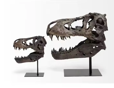 3D Carved Resin Animal Head Tyrannosaurus T Rex Head  Dinosaur Skull For Home Decor