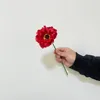 Rojo Grande