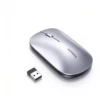 Silver Gray (65180)