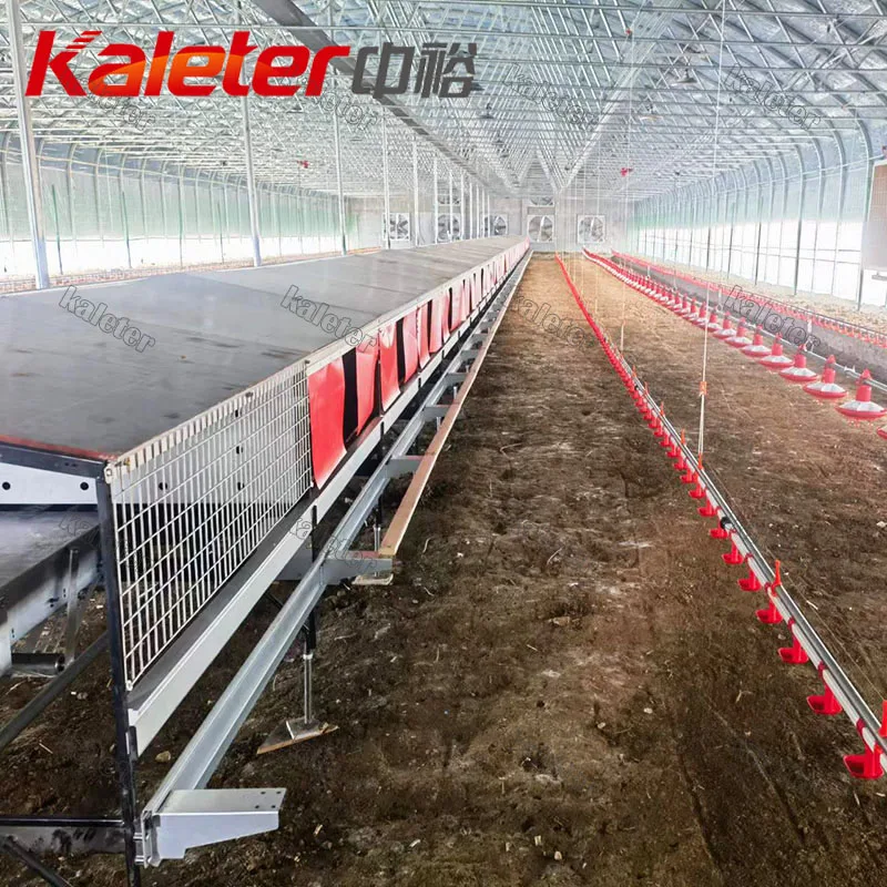 Breeders Hen Nesting Box Automatic Egg Collecting Machine System Poultry Farm Chickens Equipment