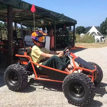 Amusement park rental Golf Buggy Cart And EEC Adult Dune Buggies 1000W Brushless Motor Electric Go Kart