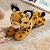 gato lince