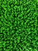 Verde chiaro