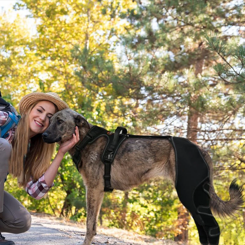 Dog Knee Brace For Hind Leg Warms Joints And Stable Dog Leg