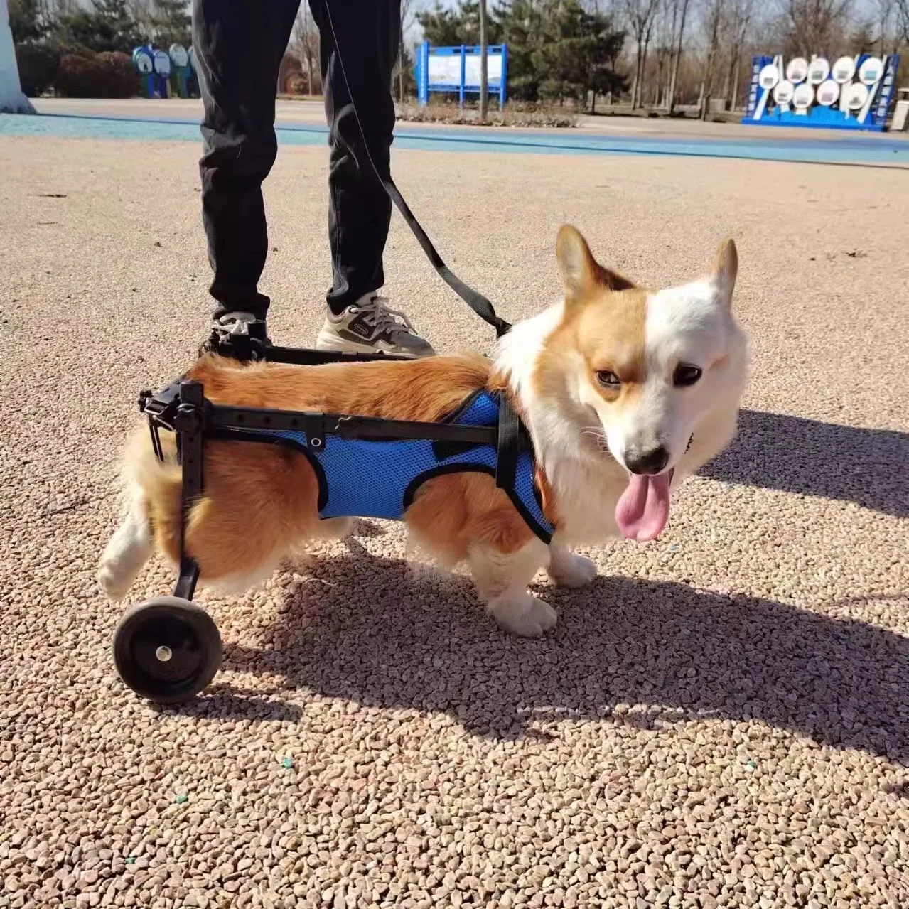 Light Weight Adjustable Wheelchair for Back Legs Disabled Dog Mobility Aids for Small Medium Pets