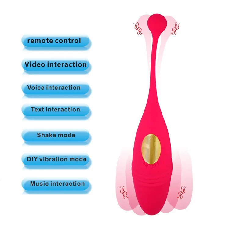 Œuf Vibrant Rechargeable Télécommandé Pour Femmes - 10 Modes - Silicone - IPX7 - Neuf En Boîte