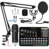 Conjunto de tarjeta de sonido Black-Black BM900+V10xPro