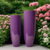สีม่วง