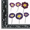 12 pz/borsa viola naturale MH399