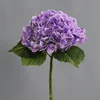 Morado claro