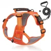 Orange harness  leash set
