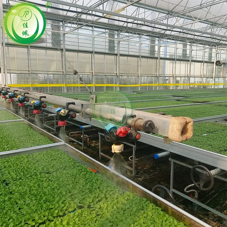 agriculture smart greenhouse farm with hydroponic technology lattuce salad plant growing in glass greenhouse