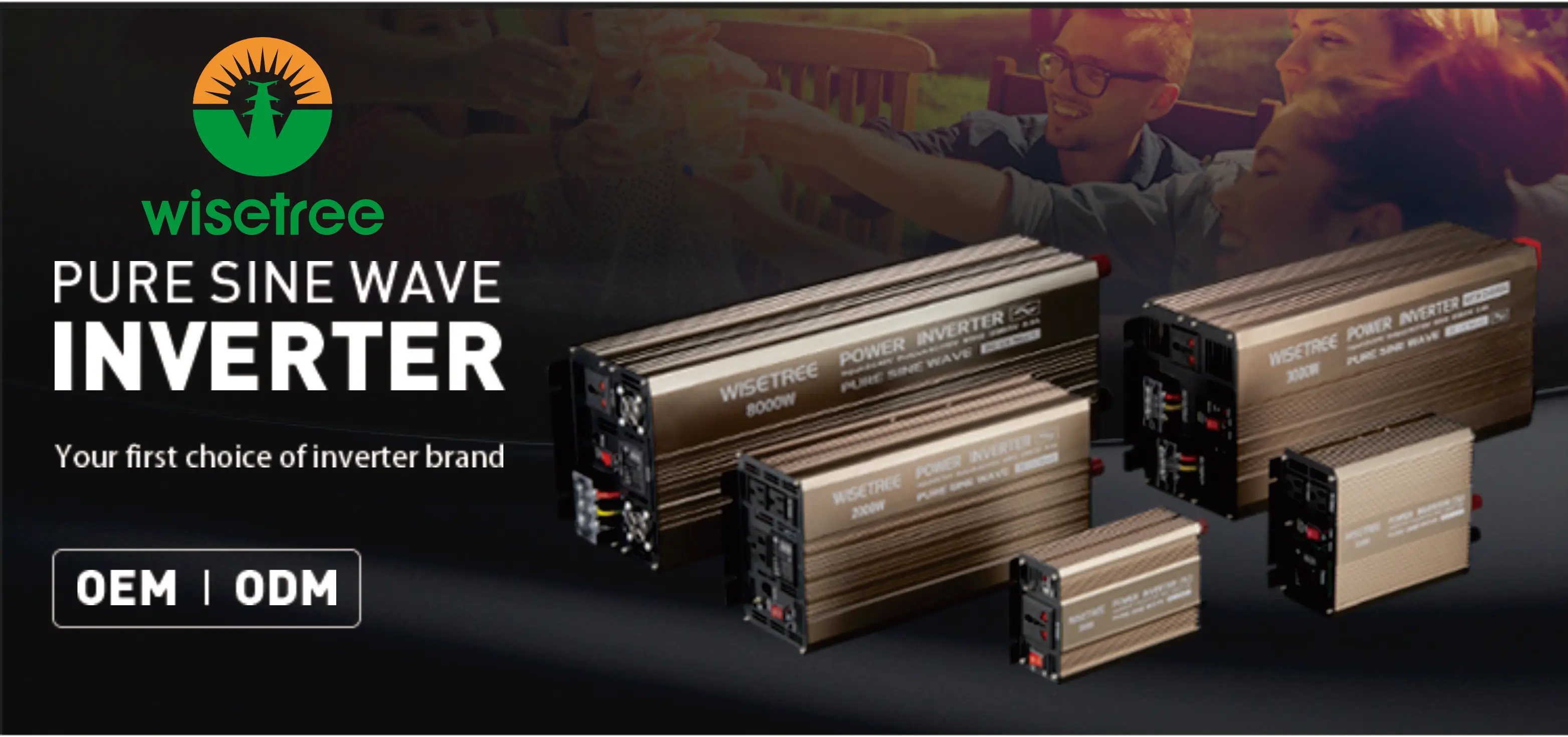 2000w Electric Inverters With Batteries For House Buy Car Alternator