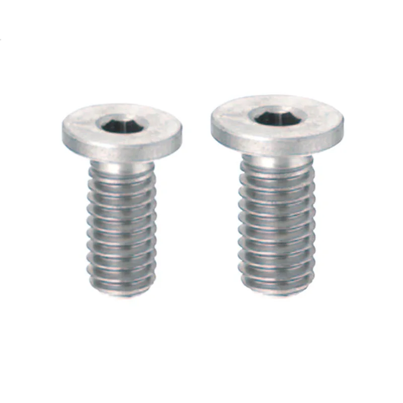 Customized High Quality Hex Socket Extra Low Head Cap Screws 500 Pieces Per Package