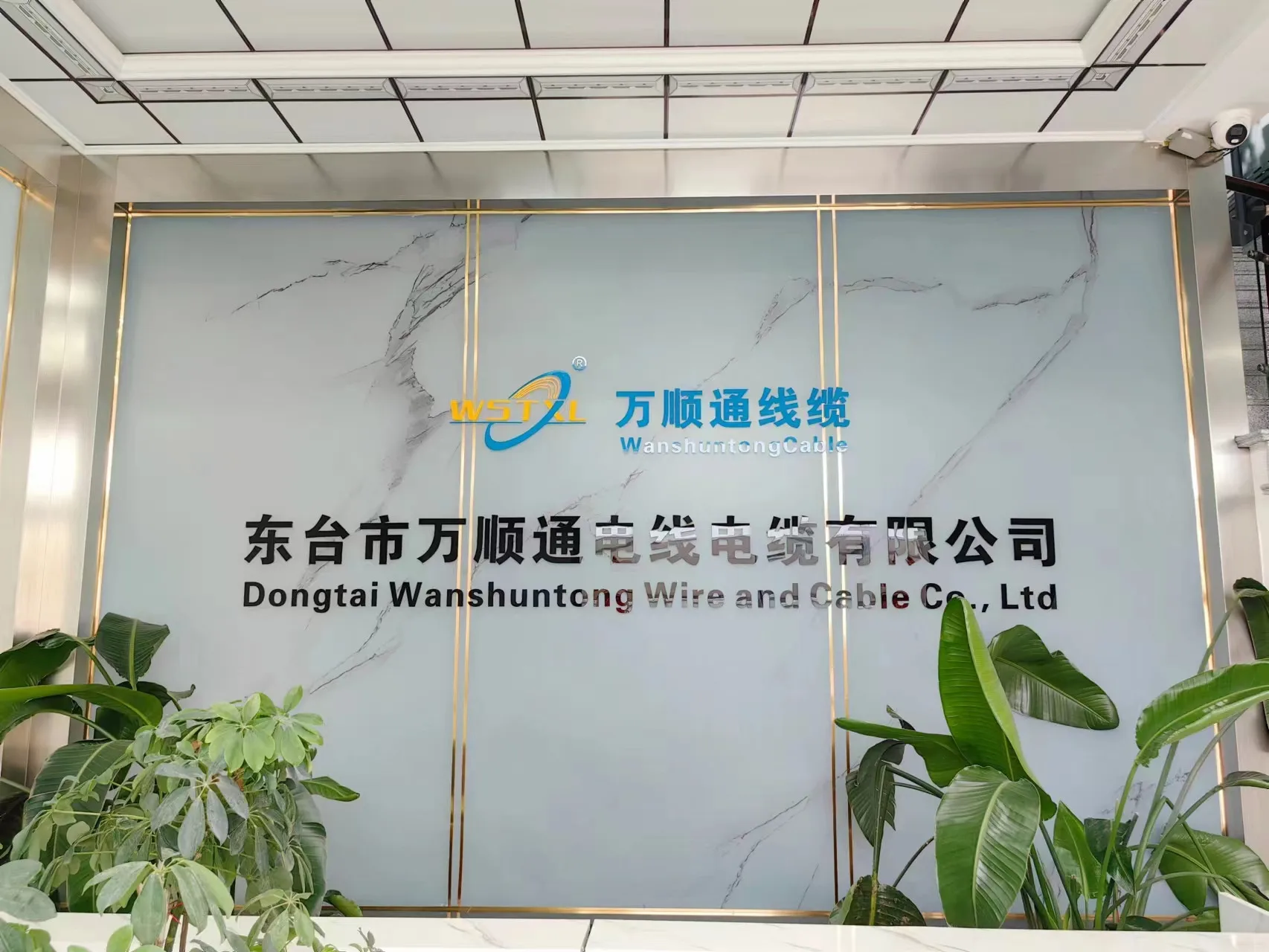 Dongtai Wanshun Tong Wire And Cable Co., Ltd.