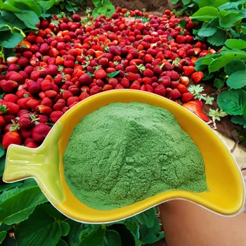 GREEN AGRICULTURE ORGANIC CHELATED SOLUBLE FERTILIZER EDTA FE/ZN/MN/CU SUITABLE FOR VEGETABLES AND FRUIT