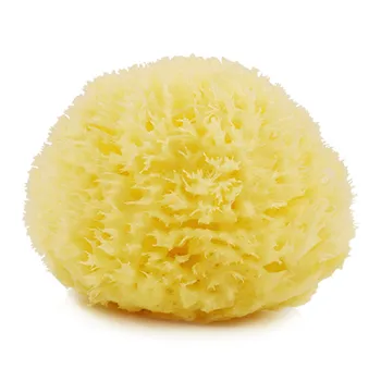 Neptune All Natural GRS Sea Wool Sponge for Baby shower Honeycomb Renewable Sea Sponges 2.5-5.5 inches
