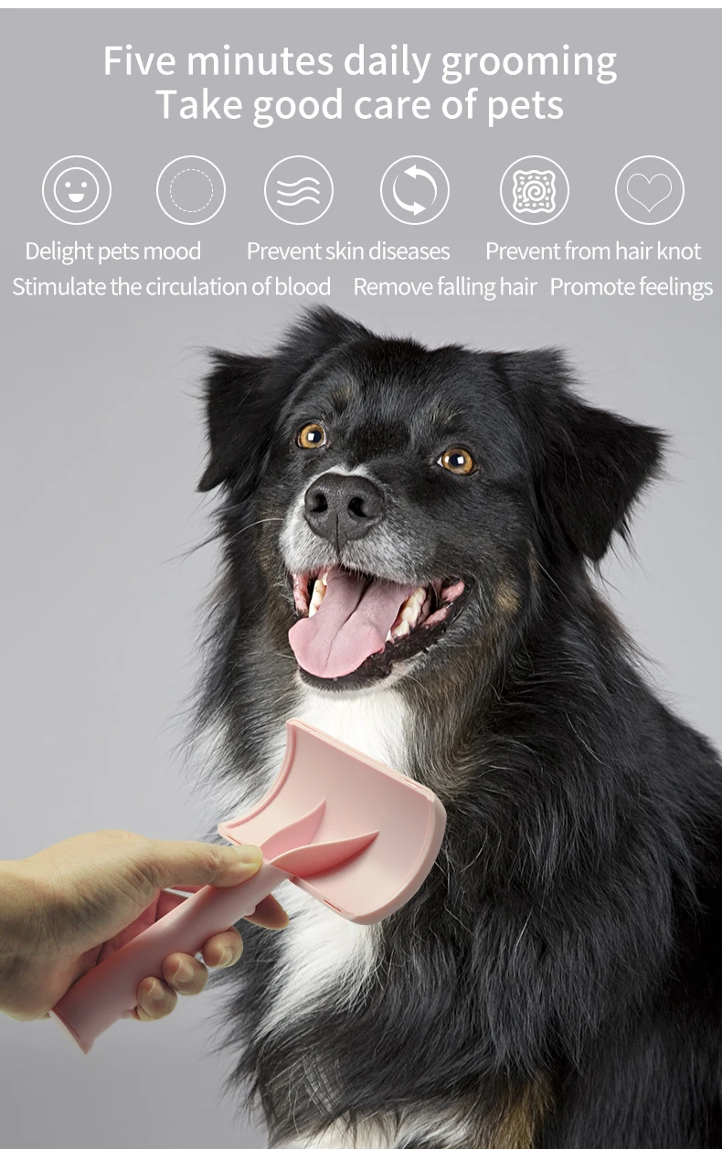 Wholesale Para Mascotas105x173mm Professional Dog Brush Curved Long Pin