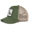 Crocodile green