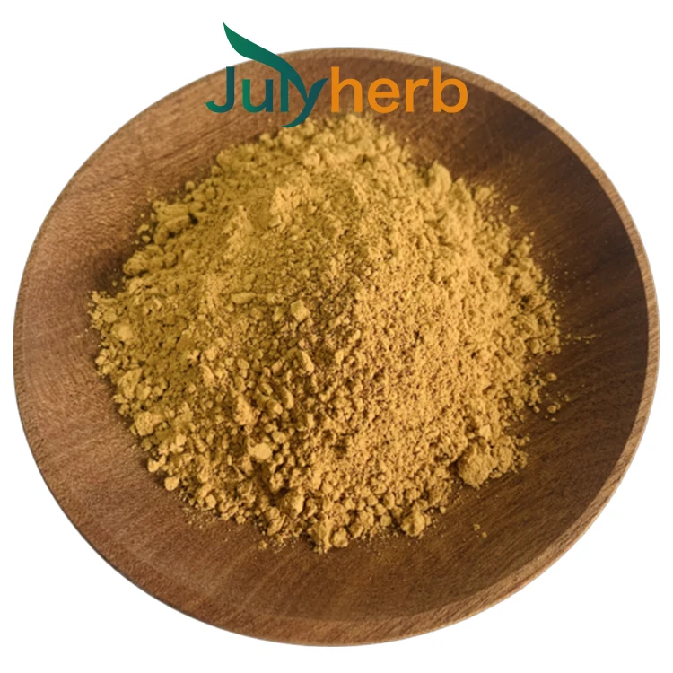 Phyllanthus Extract powder 