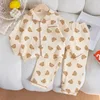 testa d'orso su sfondo beige