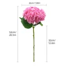 Rose foncé
