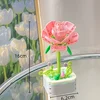 Rose rose