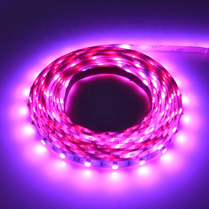 DC24V-3528-RGB-60-8mm-1.jpg
