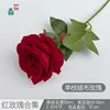 Rosa de terciopelo individual G, roja