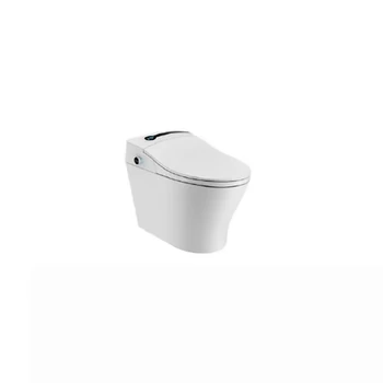 Ceramic Smart Toilet With Bidet Automatic Flush Smart Wc Toilet One Piece Intelligent Toilet