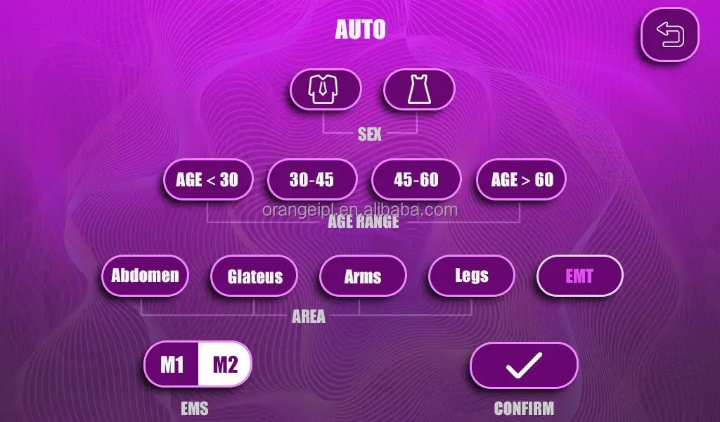 Magic Sculpt Portable 2/4 Handles Body Muscle Building Contouring Ems