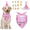 Conjunto rosa de tres piezas