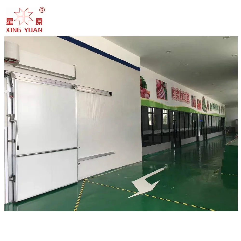 Cold Room Cold Storage Manual Sliding Door with PU Insulation