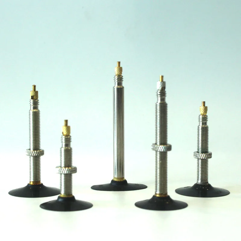 Schrader New Style Bike Tire Valves Bicycle Tyre Inner Tube Valves