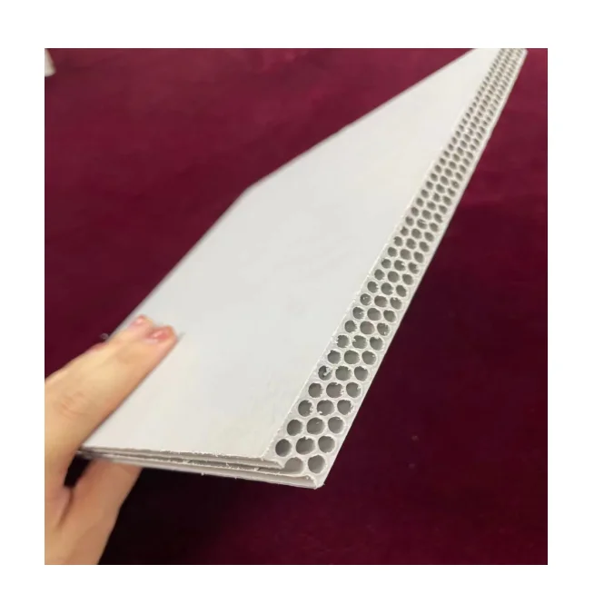 Plastic Formwork Panel For Concrete,Plastic Panels For Windows Buy